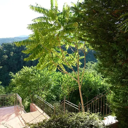 Flora Apartment Opatija