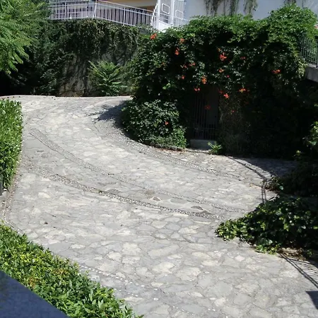 Flora